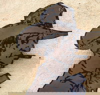 Explore The Rocks Sydney In A Series Of Fun Cryptic Clues - Accommodation NT