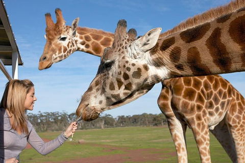 Melbourne City Card (2 Days): Visit Unlimited Attractions! - Accommodation NT 1
