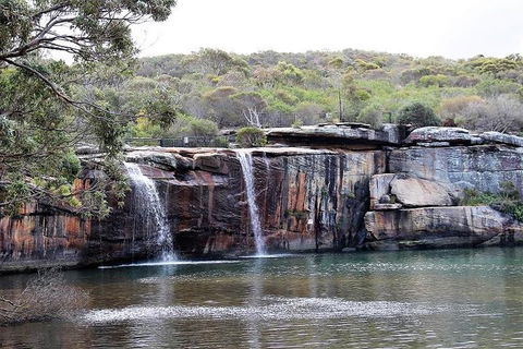 Royal National Park Tour - Accommodation NT 1