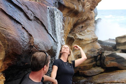 Royal National Park Tour - Accommodation NT 4