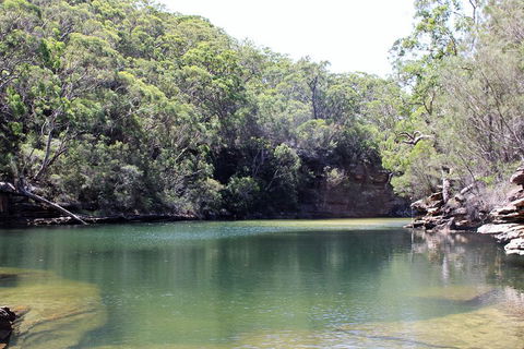 Royal National Park Tour - Accommodation NT 5