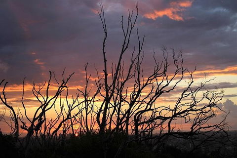 Sydney Harbour, Northern Beaches And National Park - Accommodation NT 4