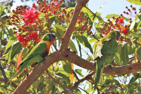 Sydney Harbour, Northern Beaches And National Park - Accommodation NT 5
