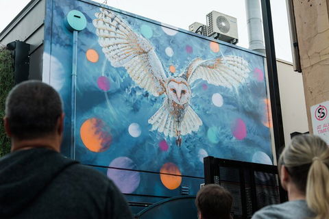 Jimmy C Street Art Walking Tour - Accommodation NT 1