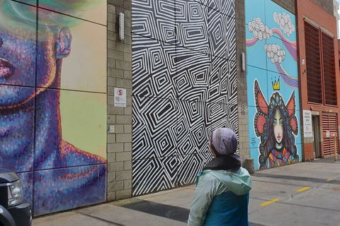 Jimmy C Street Art Walking Tour - Accommodation NT 2