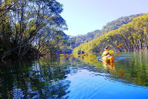 Half-Day Sydney Middle Harbour Guided Kayaking Eco Tour - Accommodation NT 1