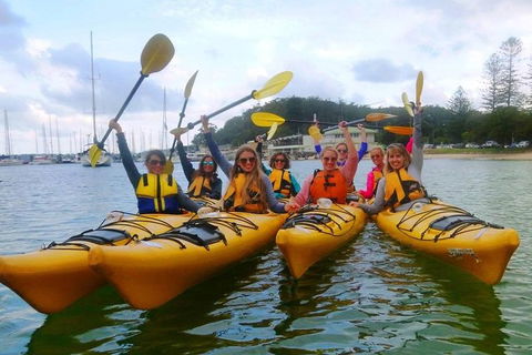 Half-Day Sydney Middle Harbour Guided Kayaking Eco Tour - Accommodation NT 2