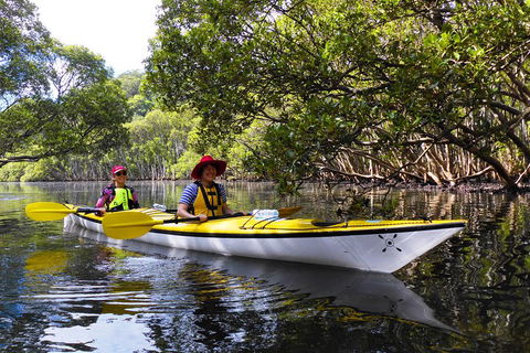 Half-Day Sydney Middle Harbour Guided Kayaking Eco Tour - Accommodation NT 3