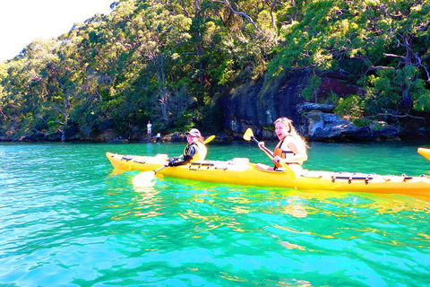 Half-Day Sydney Middle Harbour Guided Kayaking Eco Tour - Accommodation NT 4