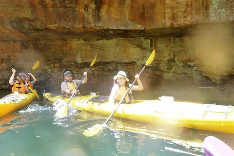 Middle Harbour Mangrove Explorer - Accommodation NT 1