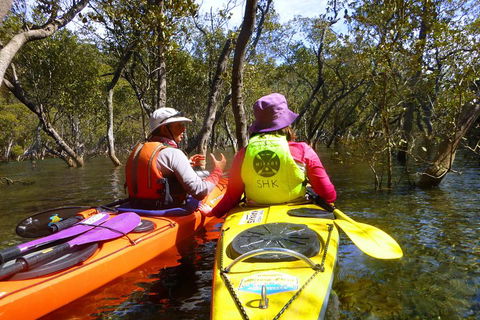 Middle Harbour Mangrove Explorer - Accommodation NT 3