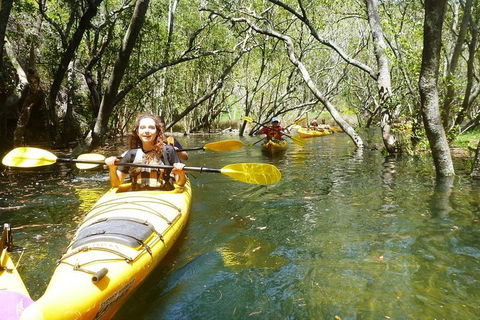 Middle Harbour Mangrove Explorer - Accommodation NT 4