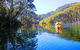 Middle Harbour Mangrove Explorer - thumb 5