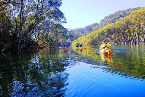 Middle Harbour Mangrove Explorer - Accommodation NT 5