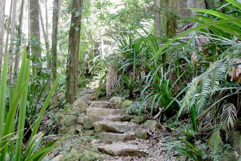 Byron Bay Combo: Minyon Falls And Hinterland Day Trip And Learn To Surf At Byron Bay - Accommodation NT 3