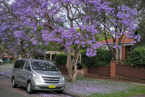 Sydney Secrets & Bondi Beach Private 4 Hr Morning With Personalised Sydney Tours - Accommodation NT 0