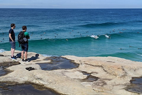 Sydney Secrets & Bondi Beach Private 4 Hr Morning With Personalised Sydney Tours - Accommodation NT 2