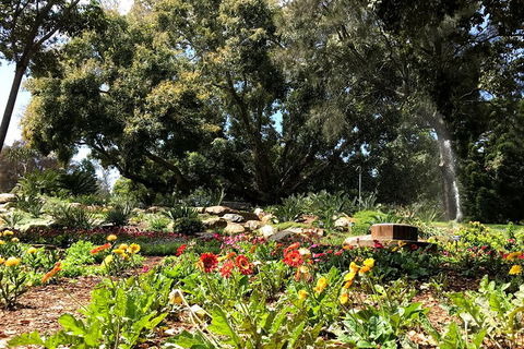 Discover Sydney - Botanic - Accommodation NT 3