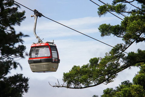 Sydney Taronga Zoo General Entry Ticket And Wild Australia Experience - Accommodation NT 2