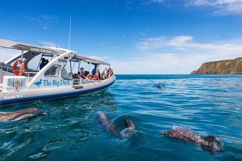Victor Harbor And McLaren Vale Wine Region Day Tour - Accommodation NT 1