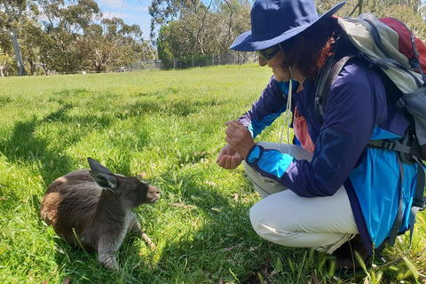 Mount Lofty Hike And Cleland Wildlife Park Day Trip From Adelaide - Accommodation NT 1