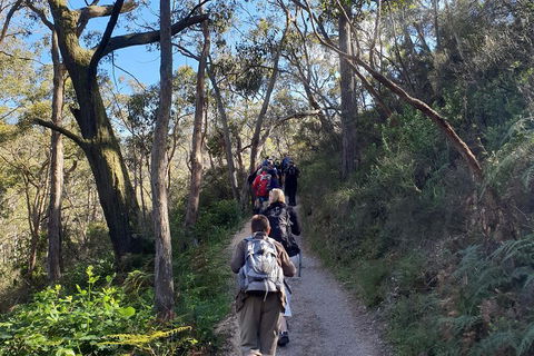 Mount Lofty Hike And Cleland Wildlife Park Day Trip From Adelaide - Accommodation NT 3
