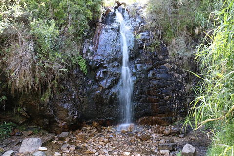 Mount Lofty Hike And Cleland Wildlife Park Day Trip From Adelaide - Accommodation NT 4