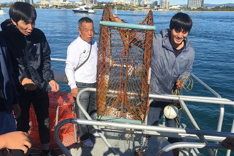 Crab Trip From Gold Coast - Accommodation NT 1