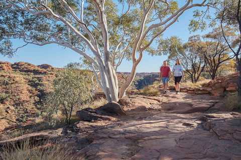 3-Day Tour From Uluru (Ayers Rock) To Alice Springs Via Kings Canyon - Accommodation NT 1