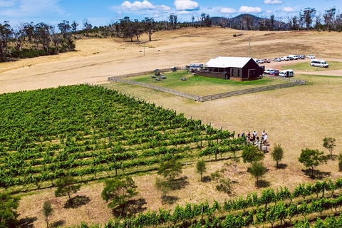 Tasmanian Wine Tour - Accommodation NT 3
