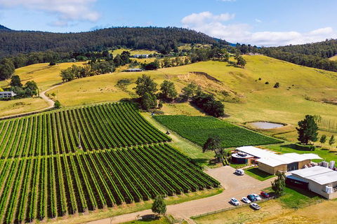 Tasmanian Wine Tour - Accommodation NT 4