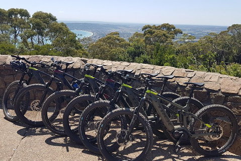 Fully Guided E-Mountain Bike Tour On The Beautiful Mornington Peninsula. - Accommodation NT 4