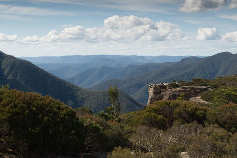 Inside The Greater Blue Mountains World Heritage - A Private Wildlife Safari Overnight - Accommodation NT 5