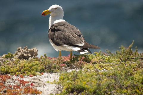From The Mountains To The Bay - 4 Day Rediscovery Small Group Tour - Accommodation NT 1