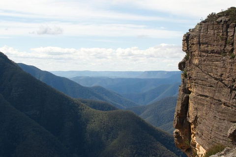 Inside The Greater Blue Mountains World Heritage - A Wildlife Safari Overnight - Accommodation NT 4