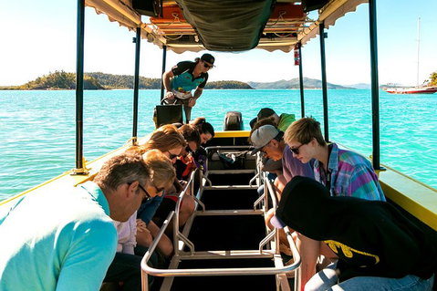 Airlie Beach Glass Bottom Boat Tour - Accommodation NT 1