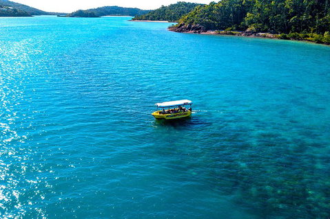 Airlie Beach Glass Bottom Boat Tour - Accommodation NT 2