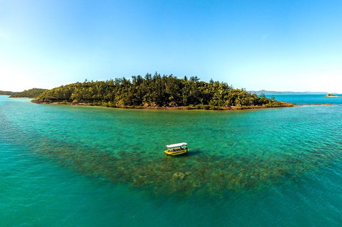 Airlie Beach Glass Bottom Boat Tour - Accommodation NT 3