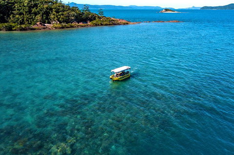 Airlie Beach Glass Bottom Boat Tour - Accommodation NT 4