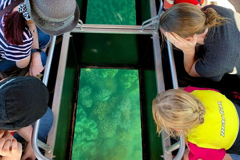 Airlie Beach Glass Bottom Boat Tour - Accommodation NT 5