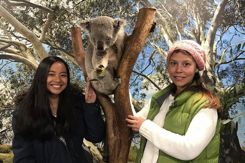 Australia Multi-City Attractions Pass - Accommodation NT 3
