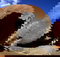 Full-Day Kangaroo Island Safari from Penneshaw - Accommodation NT