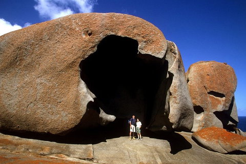 Full-Day Kangaroo Island Safari From Penneshaw - Accommodation NT 0