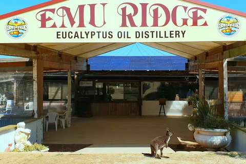 Full-Day Kangaroo Island Safari From Penneshaw - Accommodation NT 2