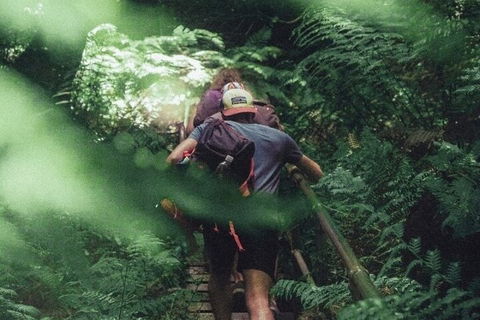 Private Day Trip At The Blue Mountains - Accommodation NT 3