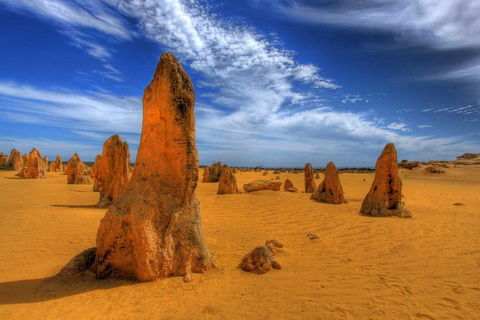 Pinnacles Desert & New Norcia Day Tour From Perth - NT Tourism 0