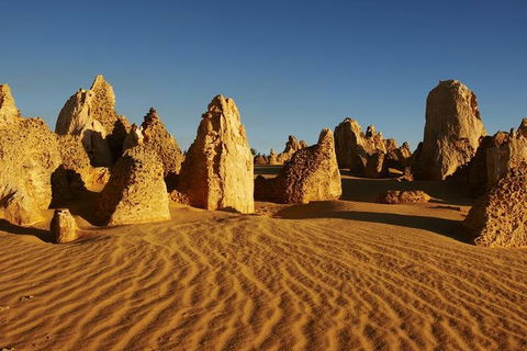 Full Day Pinnacle Desert Explorer From Perth Including Hillarys And Lancelin Sandboarding - Accommodation NT 3