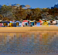 Mornington Peninsula Small Group day tour - Accommodation NT