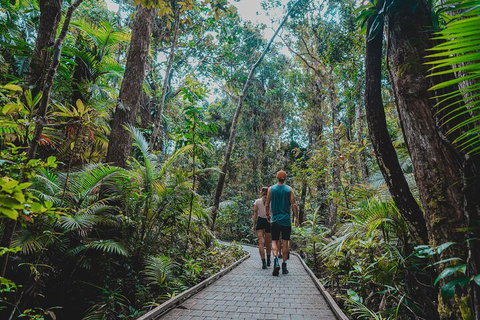 Full Day Cooktown Private Tour - Accommodation NT 0