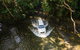 Full Day Cooktown Private Tour - thumb 5